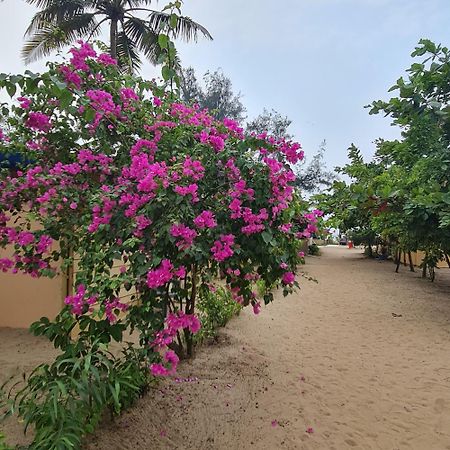 Love Temple Beach Resort Arambol Exterior foto